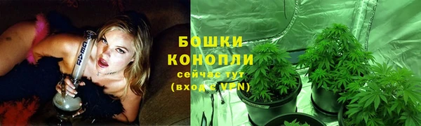 эйфоретик Гусев