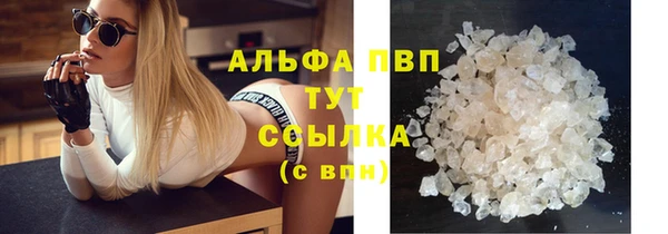 эйфоретик Гусев