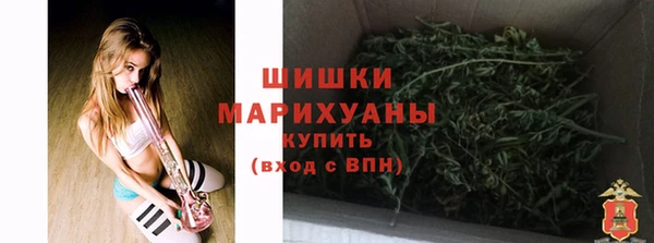 винт Гусиноозёрск