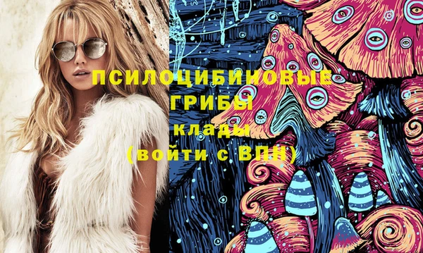 винт Гусиноозёрск