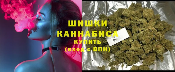 эйфоретик Гусев