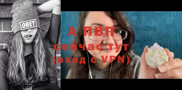винт Гусиноозёрск