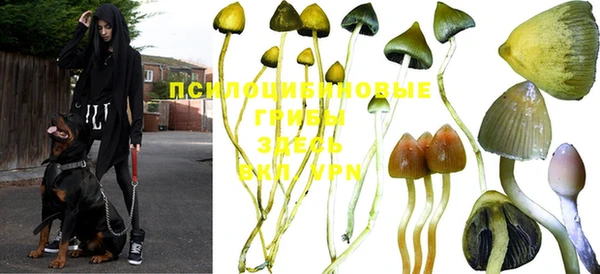 винт Гусиноозёрск