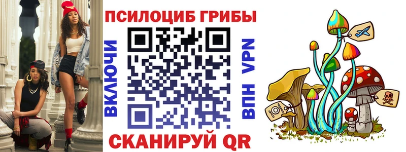 Псилоцибиновые грибы Psilocybine cubensis  Купить  Гулькевичи 